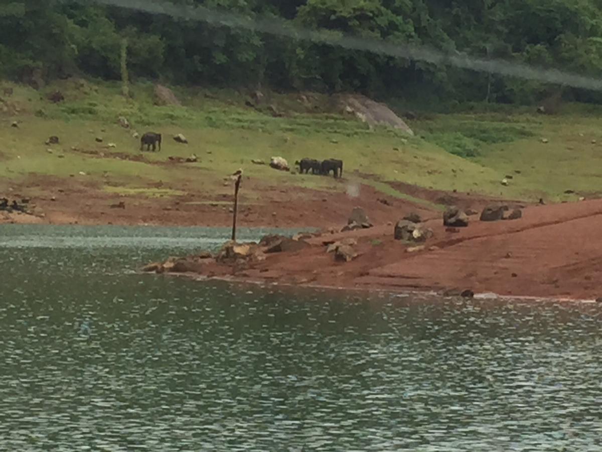 Kandamath Heritage Resort Kolattupuzha Esterno foto